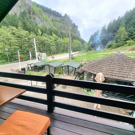 Guest house Pensiunea Tobo