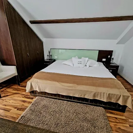 Pensiunea Tobo 4* Baia de Fier
